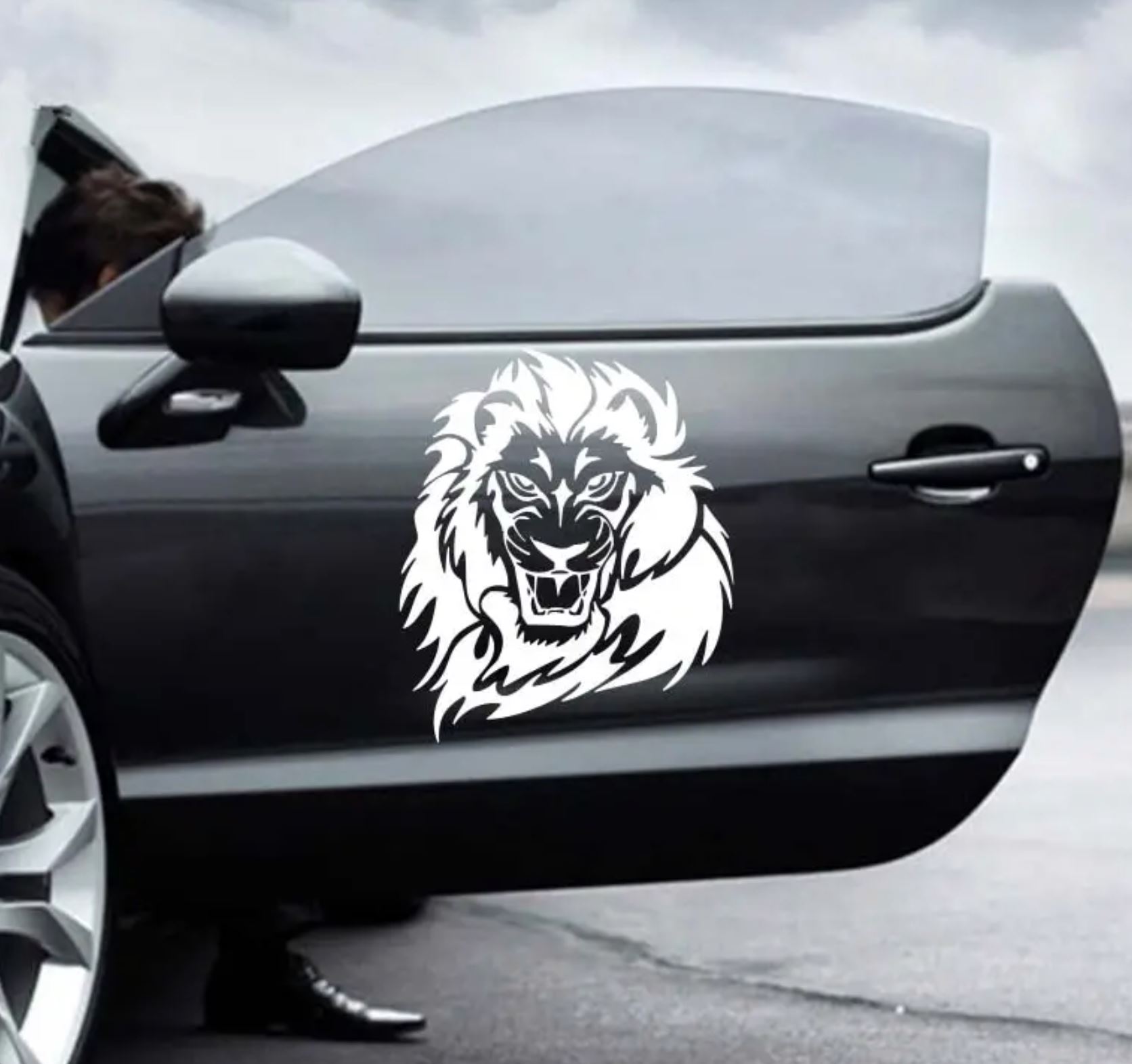 Imagen del producto 4